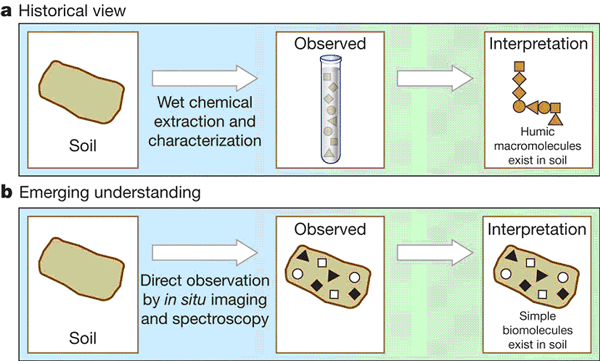 Два подхода к объяснению стойкости органического вещества почвы