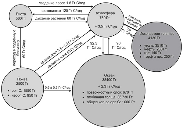 Основные пулы и потоки углерода в биосфере