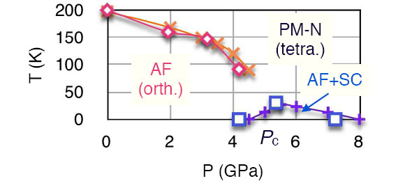 Рис. 3. Фазовая диаграмма «температура—давление» SrFe2As2. В диапазоне давлений приблизительно 4,2–8 ГПа критическая температура и температура Нееля совпадают, что означает одновременное сосуществование сверхпроводящей (SC) и антиферромагнитной фазы (AF). Рисунок из обсуждаемой статьи в Phys. Rev. Lett.