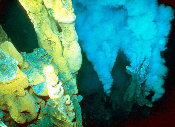 Гидротермальные поля рифтовой зоны бассейна Лау с трубами курильщиков