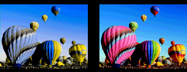 Одна и та же картинка, по-разному воспринимаемая дихроматом и трихроматом