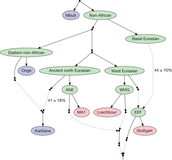 Связи различных популяций древней и современной Европы, Азии и Америки
