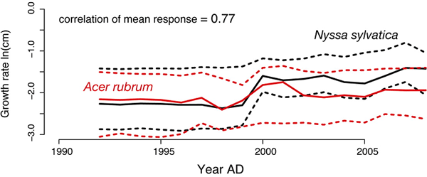 Рис. 1. Изменения во времени скорости прироста двух произрастающих в одной местности видов деревьев: красного клёна (Acer rubrum) и ниссы лесной (Nyssa sylvatica). Из обсуждаемой статьи в Science