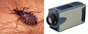 Между «поцелуйным» клопом Triatoma infestans и тепловизором (на фото — камера JADE производства французской компании CEDIP Infrared Systems) общее только одно — оба они чувствительны к инфракрасному излучению (фото с сайтов www.unine.ch и www.ircameras.com)