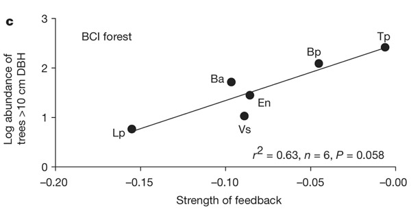 Связь между силой отрицательного воздействия на рост проростков «своей» почвы (по горизонтали) и обилием вида (по вертикали) на примере деревьев с о. Барро-Колорадо. У более редких видов тормозящий эффект других особей того же вида (опосредованный через почву) выражен сильнее, чем у видов массовых. Обозначения разных видов: Ba — Brosimum alicastrum; Bp — Beilschmiedia pendula; En — Eugenia nesiotica; Lp — Lacmellea panamensis; Tp — Tetragastris panamensis; Vs — Virola surinamensis. Рис. из обсуждаемой статьи Mandan et al. (Nature. 2010. V. 466. P. 752–755)