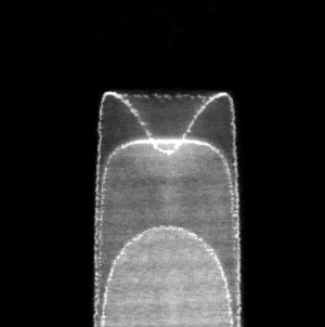 Изображение, полученное наложением трех снимков — непосредственно перед, во время и сразу после образования «тюльпанообразного пламени». Время между снимками — 2,2 миллисекунды, скорость видеосъемки — 4500 кадров в секунду. Диаметр пламени 0,7 м (горючая смесь пропана и воздуха), размер трубы 1,5 x 0,1 м. Изображение из статьи Clanet & Searby, 1996