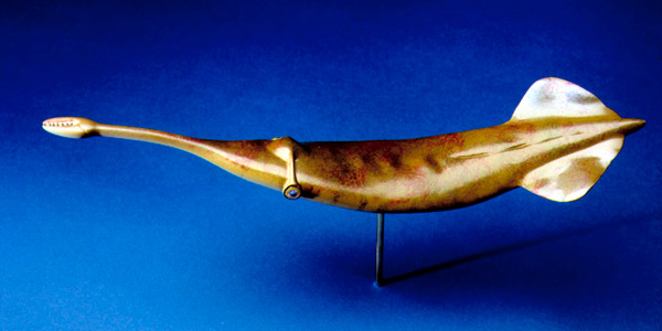 Модель туллимонстра в Филдовском музее естественной истории