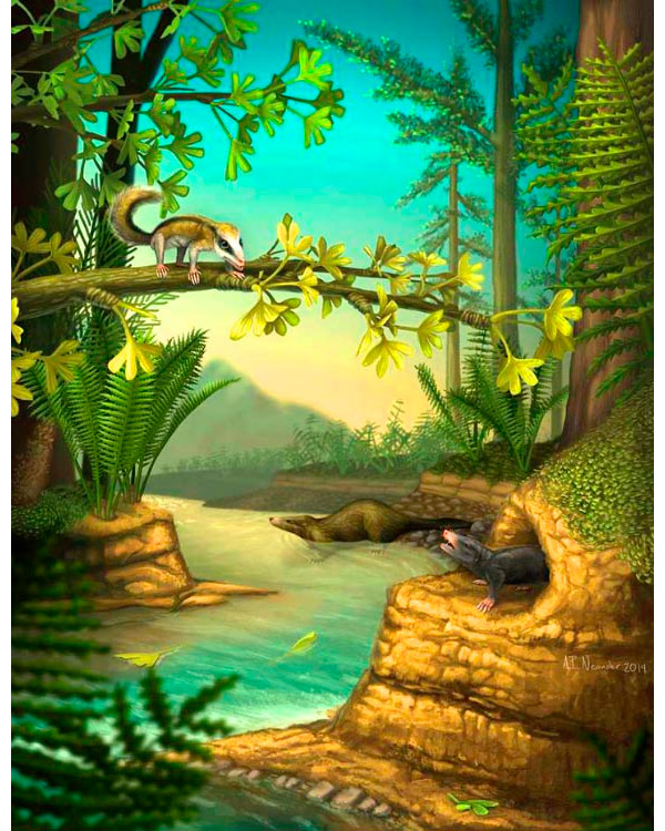 <b>Рис. 1.</b> Три юрских зверька