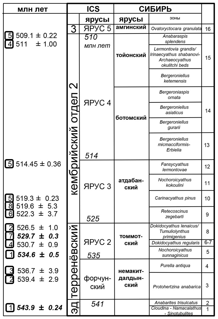 Рис. 2. Временная шкала раннекембрийской эпохи