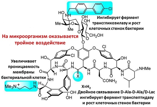 <p><b>Рис. 2. </b>Новый кандидат в <a href=/"https://en.wikipedia.org/wiki/Drug_of_last_resort" target=_blank>антибиотики «последнего резерва»</a> — «ванкомицин 3.0».