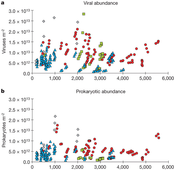 Рис. 2. Число вирусов (a) и бактерий (b) в поверхностном слое грунта в зависимости от глубины океана в месте взятия пробы. Цифры приведены в расчете на 1 кв.м поверхности дна. Значками разной формы и цвета показаны разные моря. Рис. Из обсуждаемой статьи в Nature