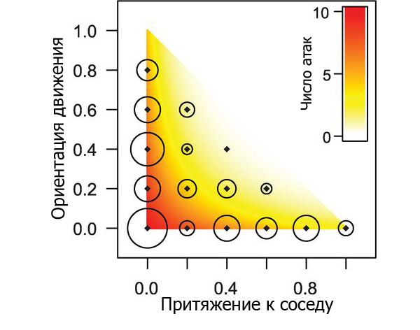Вероятность «дафнии» быть атакованной в зависимости от параметров, задающих ее поведение