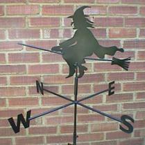 Фото с сайта www.zyworld.com