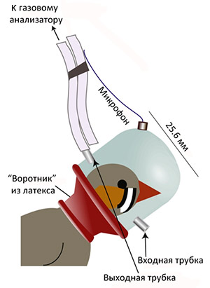 Рис. 2. Схема респираторной маски, применявшейся в опытах