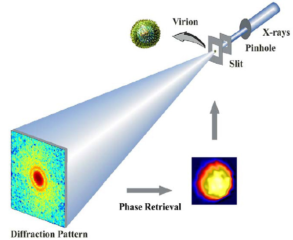 Рис. 1. Схема эксперимента. Полученное камерой с ПЗС-матрицей изображение мышиного вируса герпеса с помощью математических методов рентгеноструктурного анализа преобразовывалось в распределение электронной плотности внутри вируса, что и означало «получение» рентгеновского снимка. Масштабы и пропорции не соблюдены. Рис. из обсуждаемой статьи arXiv:0806.2875