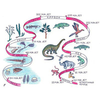 Гибель динозавров: метеориты, вулканы, зубы конкурентов