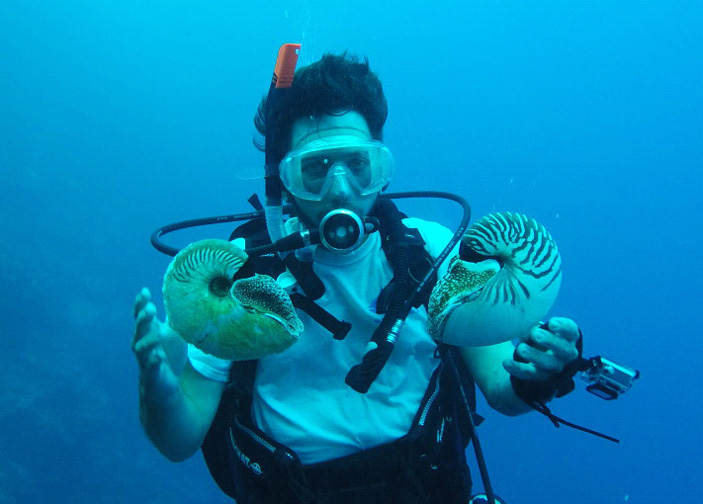 Рис. 5. Биолог-аквалангист с двумя наутилусами: Allonautilus scrobiculatus (слева) и Nautilus pompilius