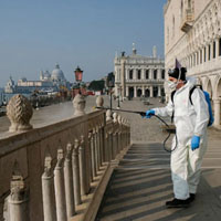 Коронавирус CoViD-19: откуда он взялся и чего от него ожидать