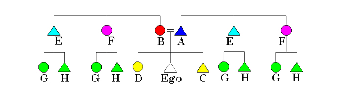 Рис. 4. Эскимосская система родства