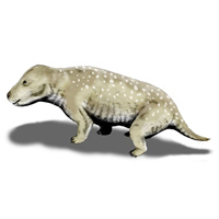 Этот малыш-аллозавр, как и многие детеныши крупных хищников мезозойской эры, начинал свою охотничью карьеру с ловли насекомых, ящериц и мелких млекопитающих