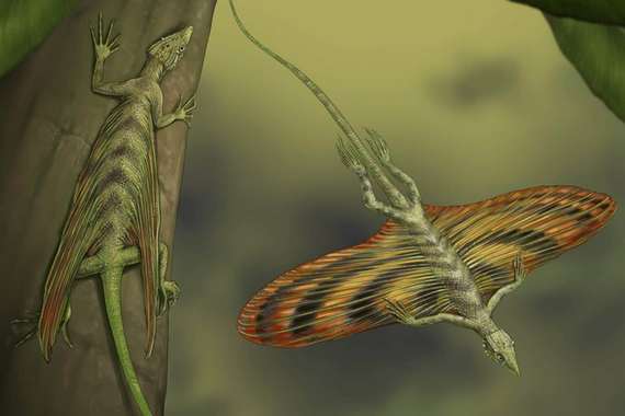 Летающие целюрозавравусы