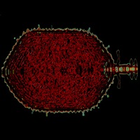 Головка бактериофага Т4