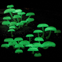 Светящиеся грибы