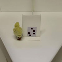 Схема первого эксперимента