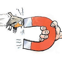 Связь магнитного компаса и фоторецепции у птиц: гипотезы и нерешенные вопросы