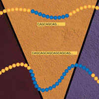 CRISPR/Cas против болезни Гентингтона