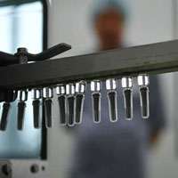 Внутренняя и внешняя иммунная оборона