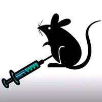 Кишечник и COVID