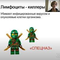 Иммунитет: друг или враг? Уроки Covid-19