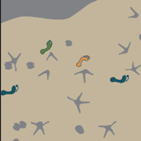 Рис. 1. Поверхность TS-2, по которой полтора миллиона лет назад прогуливались два разных вида гоминид