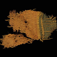 <b>Рис. 1</b> Образцы шерстяных тканей, обнаруженных на месте раскопок в долине Тимна