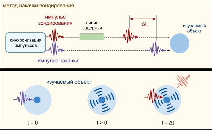 Принцип работы метода накачки-зондирования