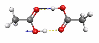 Колебания протонов в двойной водородной связи — один из самых быстрых типов колебаний в биологических молекулах