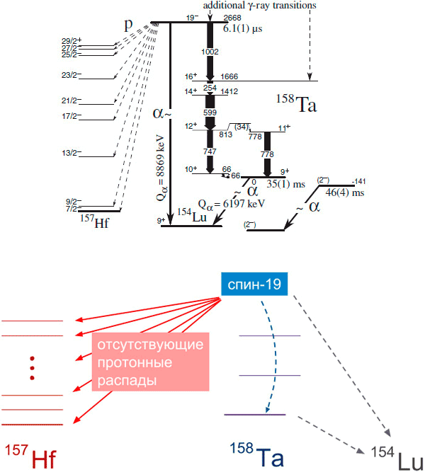Пример лестницы возбужденных состояний в ядрах тантала и гафния