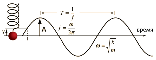 Колебания грузика на пружинке — простейший пример гармонических колебаний.