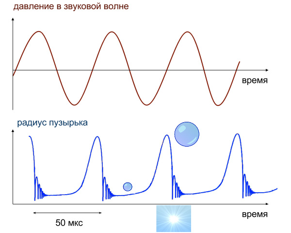 Пузырек резко вырастает в размере в фазе отрицательного давления («растяжение жидкости»), а затем, схлопываясь в фазе положительного давления, порождает вспышку света