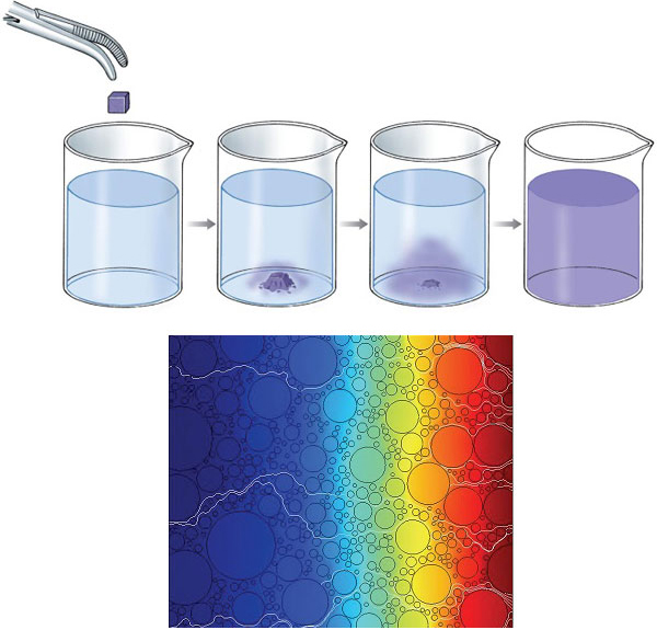 Диффузия и теплопроводность — явления, описываемые схожими математическими законами
