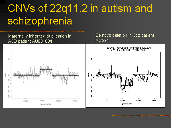 Презентация лекции Джеймса Уотсона «ДНК и мозг: в поисках генов психических заболеваний». Дом ученых. 3 июля 2008 года