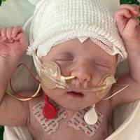 «Генетические ножницы»: прорыв или нет?