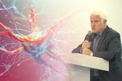 Мозг: магия воображения